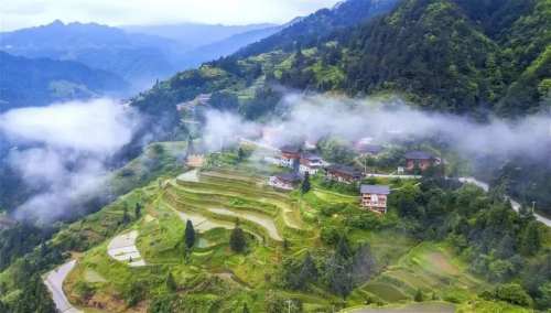 �й����ǰ�������䲥�֡�����ʽ����ƶ����