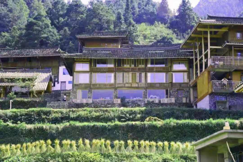 �й����ǰ�������䲥�֡�����ʽ����ƶ����