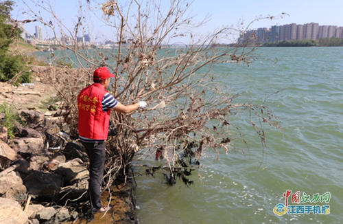 吉安水务集团志愿者开展保护母亲河公益活动